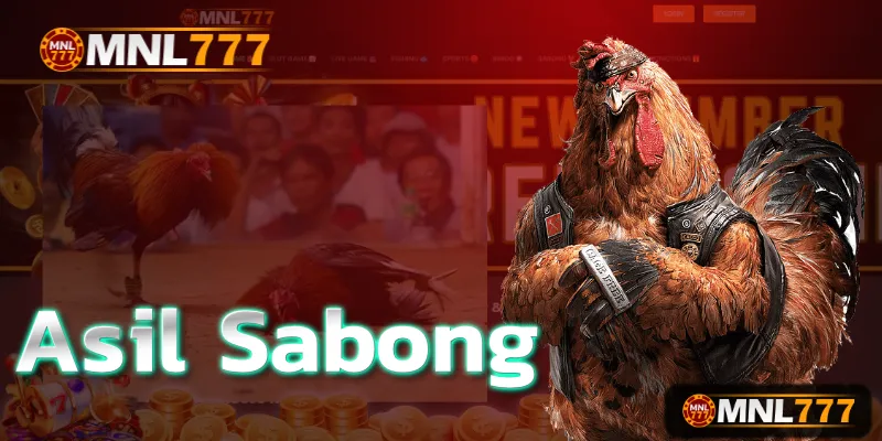 Key Characteristics of Asil Gamefowl